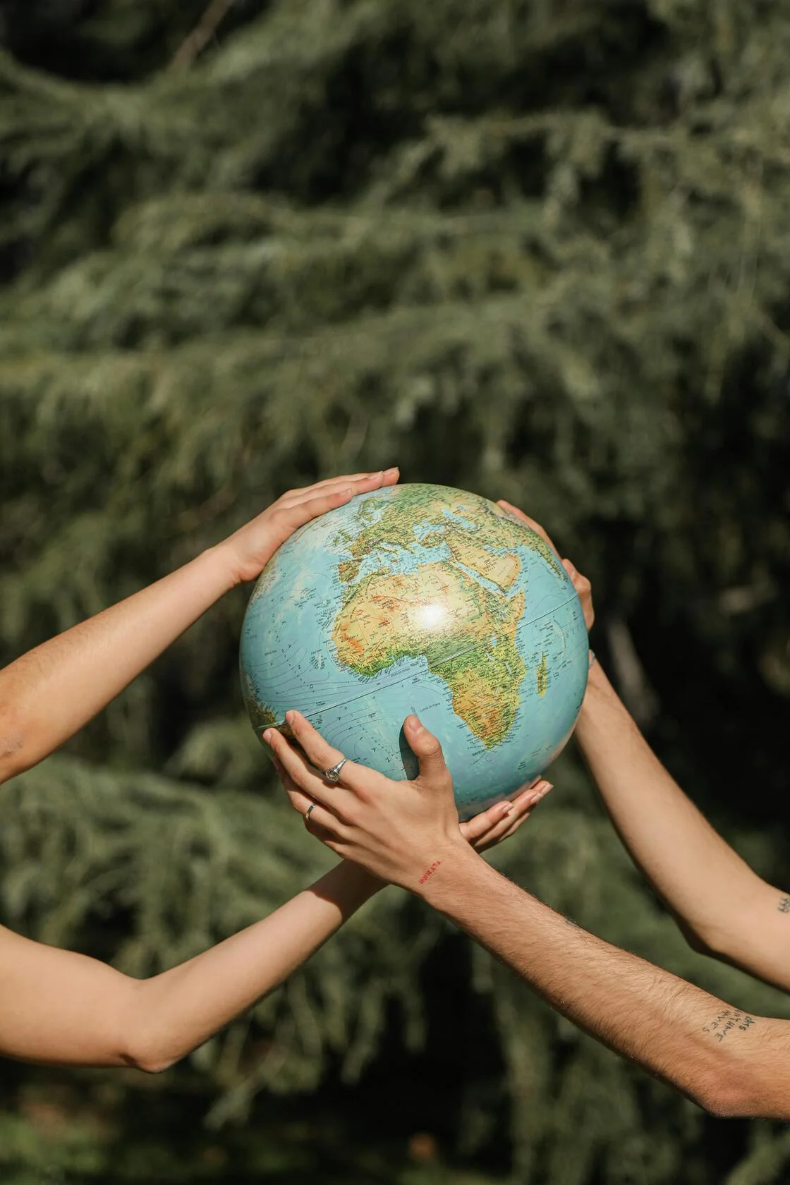 Embalagens Biodegradáveis: O Futuro Sustentável do Seu Negócio